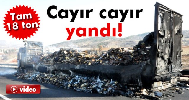 18 ton tavuk ürünü yüklü TIR kül oldu