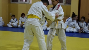 Anadolu Yıldızlar Ligi (ANALİG) Judo Afyonkarahisar il seçmeleri yapıldı.