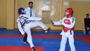 Anadolu Yıldızlar Ligi (ANALİG) Taekwondo Afyonkarahisar il seçmeleri yapıldı.