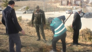 Dinar Denetimli serbestlik Okul bahçesine fidan dikti