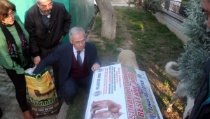 Sokak Hayvanları için besleme odakları ve bayat ekmek kutuları yerleştirildi