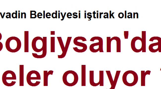 Bolvadin Belediyesi iştirak olan Bolgiysan'da neler oluyor ?