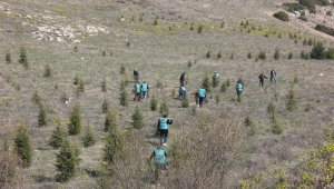 Dinar’da Yükümlüler Adalet ormanına fidan dikti