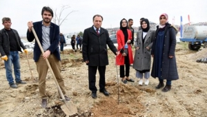 Sosyoloji Öğrencileri 600 Fidanı Toprakla Buluşturdu