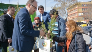 Vali Tutulmaz Orman Haftası Dolayısıyla Vatandaşlara Fidan Dağıttı