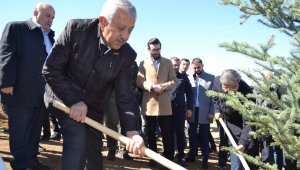 Yurdunuseven ve Zeybek fidan dikti