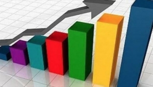 Yurt içi üretici fiyat endeksi aylık %0,09 arttı