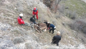AKUT Afyonkarahisar Ekibi İnekleri uçuruma düşmekten kurtardı