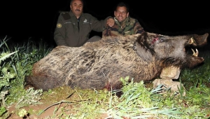 Avcıların Kızılgeyik avı için tercihi Afyonkarahisar oldu
