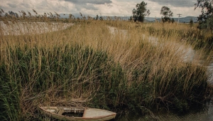 EKOIFF festivalinde tek Türk filmi: Büyük Menderes