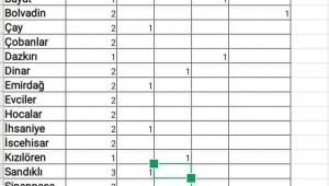 İl Genel Meclisinde ilçelerden partilerin çıkarttıkları üye sayıları belli oldu