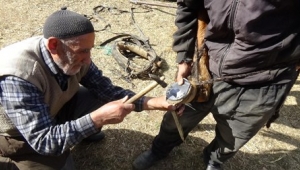 “Kaybolan Meslek Nalbantlığın Canlandırılması” Projesi Kabul Edildi