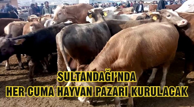 Sultandağı’nda ilk hayvan pazarı yarın kurulacak