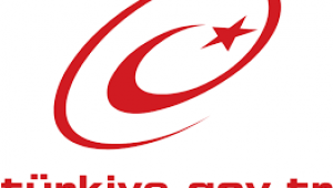 Aydem ve Gediz Elektrik İşlemleri e-Devlet Üzerinden Yapılabilecek