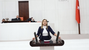 Köksal : Torf gübresi ekonomiye kazandırılacak mı?