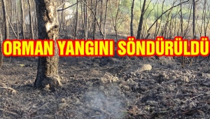 Afyonkarahisar’da çıkan orman yangını kontrol altına alındı