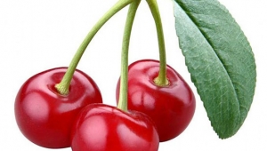 Afyonkarahisar Vişne Üretiminde 1.Sırada