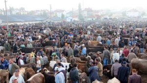 Kurban Kesim Yerleri Belirlendi