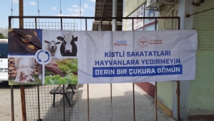 Sağlık Müdürlüğü Hayvanlardan insanlara geçebilecek hastalıklar konusunda uyardı