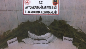 Son Dakika….Afyonkarahisar’da 2 ayrı esrar operasyonu 4 gözaltı