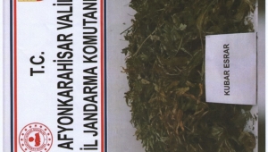Son Dakika….Afyonkarahisar’da kurutulmak üzere araziye serili vaziyette kubar esrar bulundu