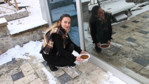 Emirdağ Belediyesi sokak hayvanlarını unutmadı