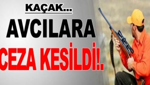 Kaçak avlanan iki kişi jandarma tarafından yakalandı