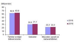 Tahıl üretimi 2019 yılında bir önceki yıla göre azaldı  