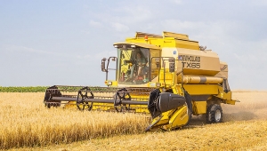 2019 destekleri kapsamında çiftçiye 1.9 milyar lira ödeme yarın yapılacak