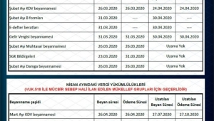 Afyonkarahisar Mali Müşavirler Odası uzatılan vergilerle ilgili buroşür hazırldı