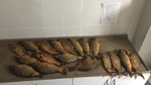 Son Dakika….Afyonkarahisar'da Kaçak balık avcıları suçüstü yakalandı