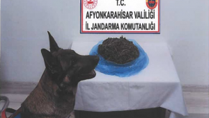 Son Dakika…….Afyonkarahisar Yeşilyolda bir işletmeci uyuşturucu operasyonunda yakalandı