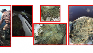 Afyonkarahisar’da kaçak avcıların ağları ele geçirildi