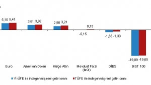 Aylık en yüksek reel getiri Euro'da oldu