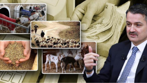 Bakan Pakdemirli: 1 Milyar 626 Milyon Liralık Destek Ödemelerine Bugün Başlıyoruz