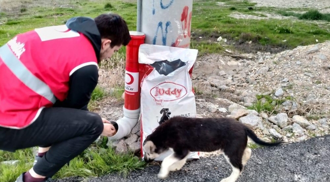 Bu haber Kızılay nerede türküsü söyleyenlere gelsin