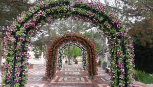 Çevre Düzenleme Ve Peyzaj Çalışmaları Devam Ediyor