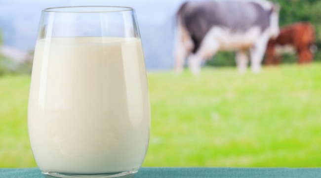 Çiğ süt prim destekleri yeniden artırıldı Nisanda ödenecek