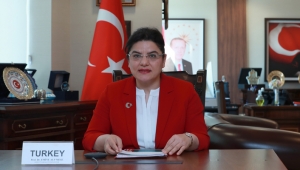 G20’ye Üye Ülkeler Kovid-19 ile Mücadelede Tecrübelerini Paylaştı