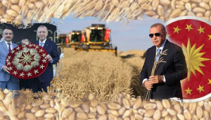 Hububat alım fiyatları mayısın ilk haftası açıklanacak