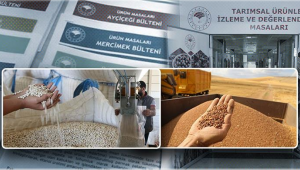 Kuru Fasulye Ve Mercimek İçin Acil Eylem Planı