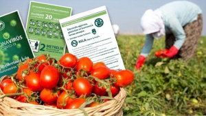 tarım ve orman bakanlığından tarladaki çiftçiye kovid-19 uyarısı