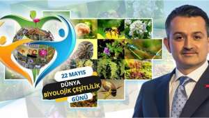 22 Mayıs Uluslararası Biyolojik Çeşitlilik Günü 'Çözümlerimiz Doğadadır'