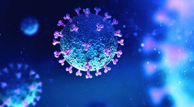 Afyonkarahisar'da en çok koronavirüs vakası 4 ilçede görüldü