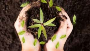 Afyonkarahisar'da Organik ve Organomineral Gübre Kullanan çiftçilere destek ödemesi başladı