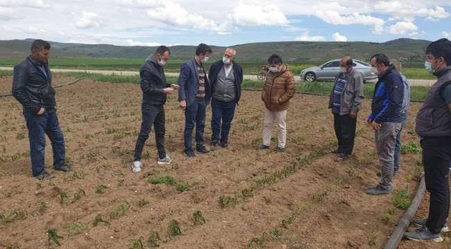 Akaparti'den açıklama: Afyonkarahisar'da Dondan zarar gören çiftçilerimizin yanındayız takipçisi olacağız  