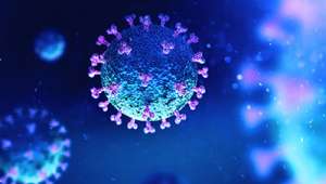 Brezilya Vaka Sayısında İtalya ve İspanya'yı Geçti