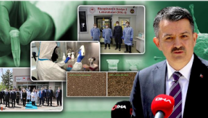 Covıd-19 Anti-Serumu İçin Önemli Bir Adım Daha Atıldı…