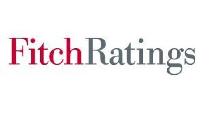 Fitch Ratings'in kıdemli analisti : Kriz Tecrübesi Corona Sürecinde Türkiye'nin İşine Yarayabilir