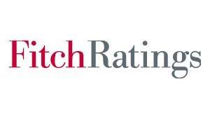 Fitch Ratings'in kıdemli analisti : Kriz Tecrübesi Corona Sürecinde Türkiye'nin İşine Yarayabilir